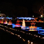 昭和記念公園クリスマスイルミネーション2